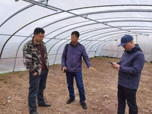 百期網(wǎng)課開新局，科技助農(nóng)譜新篇——市農(nóng)業(yè)科學(xué)院“學(xué)史力行慶華誕”網(wǎng)絡(luò)課堂圓滿結(jié)課